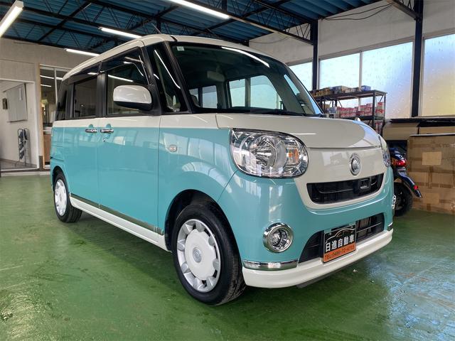 ムーヴキャンバス Ｘリミテッドメイクアップ　ＳＡＩＩ（6枚目）