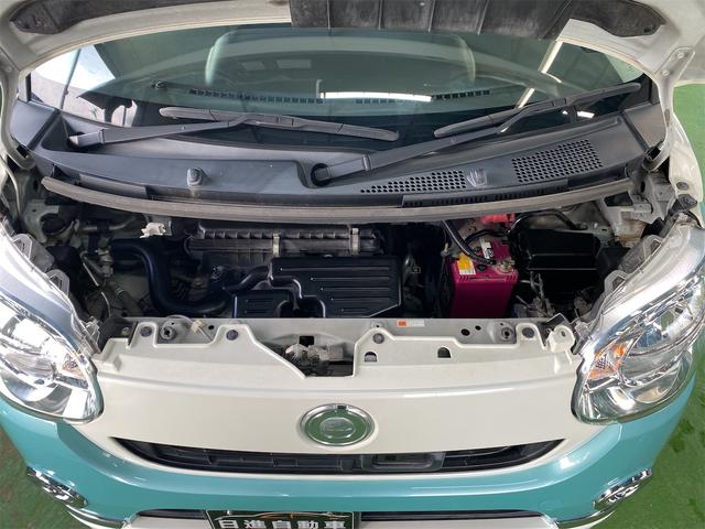 ムーヴキャンバス Ｘリミテッドメイクアップ　ＳＡＩＩ（17枚目）