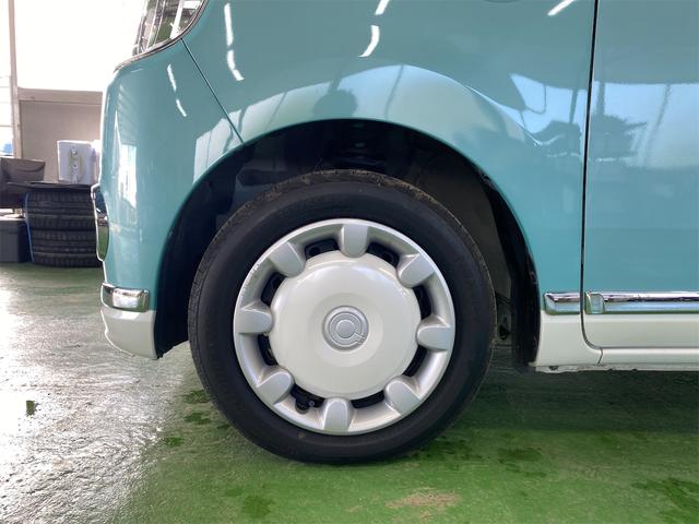 ムーヴキャンバス Ｘリミテッドメイクアップ　ＳＡＩＩ（19枚目）