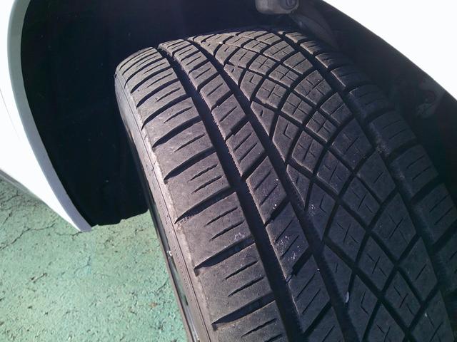 �܂��܂���������肢�������܂��B