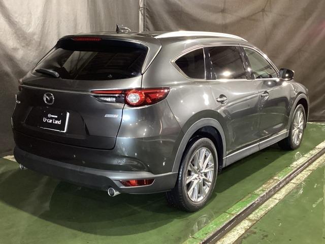 ＣＸ－８ ２．２　ＸＤ　プロアクティブ　ディーゼルターボ　３６０度カメラ　１９ＡＷ　７人乗り（39枚目）