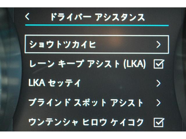 ベースグレード　２００ＰＳ　ドライブプロパック　コールドクライメントパック　１８インチアルミホイール　パワーテールゲート　キーレスエントリー　地デジチューナー　ＬＥＤシグネイチャー(17枚目)