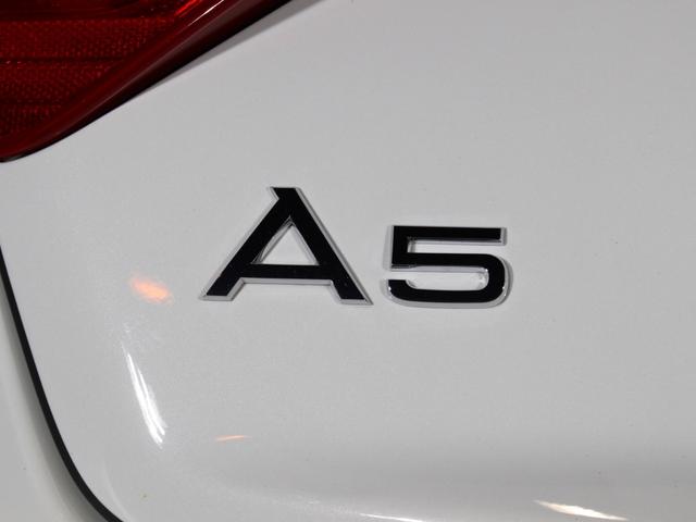 2.0TFSIクワトロ 赤革シート シートヒーター R19AW 禁煙車 リアスモーク バックカメラ 障害物センサー 純正MMIナビ ETC CD DVD SD Bluetooth TV(67枚目)