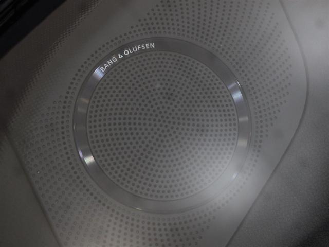 S5カブリオレ ベースグレード 赤黒レザー バング&オルフセン 純正19AW 純正ナビ バックカメラ 地デジ Bluetooth driveselect コーナーセンサー パドル シートヒーター(22枚目)