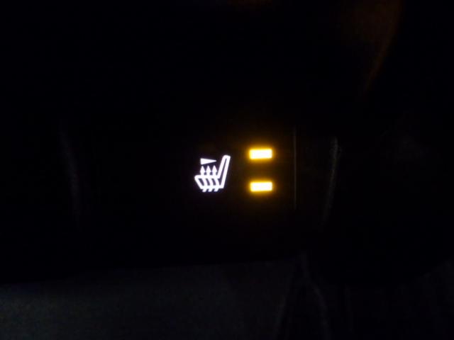 レヴォーグ STIスポーツEX 禁煙 1オーナー 純正大画面ナビ Rカメラ サイドカメラ アイサイト ドラレコ Bluetooth USB ETC LED 本革シート 電動シート パワーテールゲート サイドエアバック クルコン 雹害(5枚目)