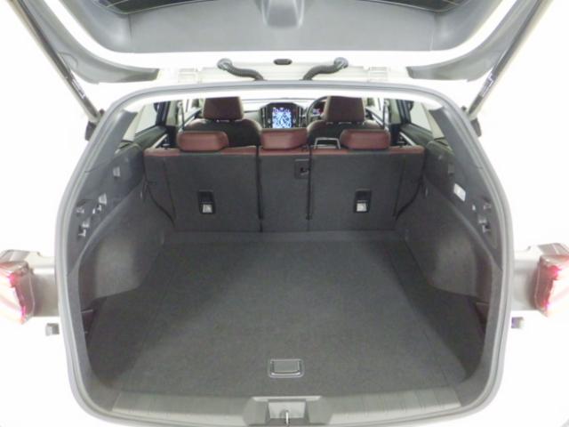 レヴォーグ STIスポーツEX 禁煙 1オーナー 純正大画面ナビ Rカメラ サイドカメラ アイサイト ドラレコ Bluetooth USB ETC LED 本革シート 電動シート パワーテールゲート サイドエアバック クルコン 雹害(22枚目)