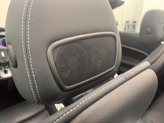 SL (46枚目)