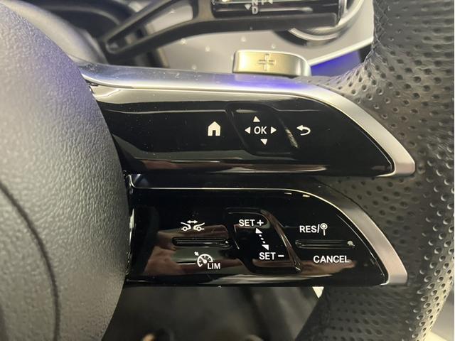 EQE SUV EQE350 4マチック SUVローンチエディション(21枚目)