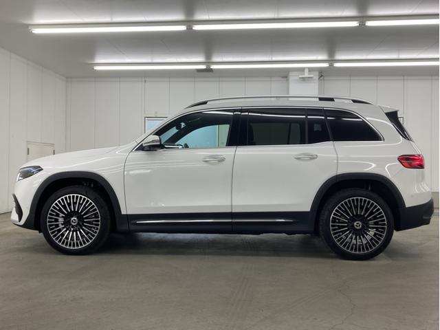 EQB EQB250+ AMGラインパッケージ(4枚目)