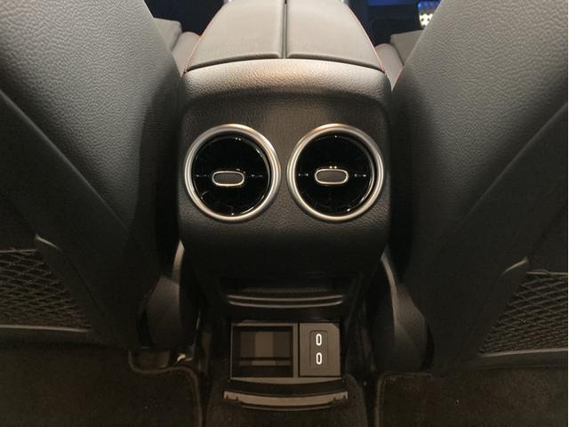 EQB EQB250+ AMGラインパッケージ(17枚目)