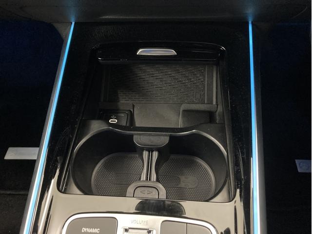 EQB EQB250+ AMGラインパッケージ(25枚目)