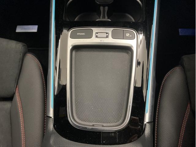 EQB EQB250+ AMGラインパッケージ(26枚目)