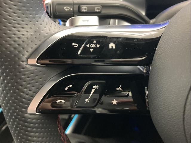 EQB EQB250+ AMGラインパッケージ(31枚目)