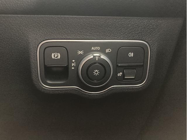 EQB EQB250+ AMGラインパッケージ(34枚目)