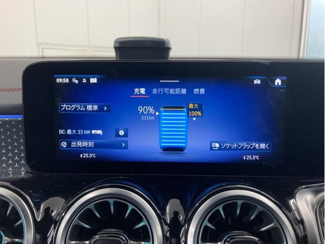 EQB EQB250+ AMGラインパッケージ(38枚目)