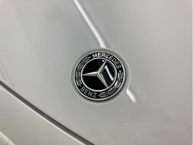 EQB EQB250+ AMGラインパッケージ(40枚目)