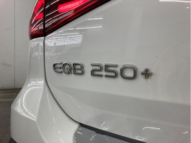 EQB EQB250+ AMGラインパッケージ(41枚目)