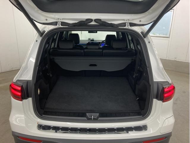 EQB EQB250+ AMGラインパッケージ(42枚目)