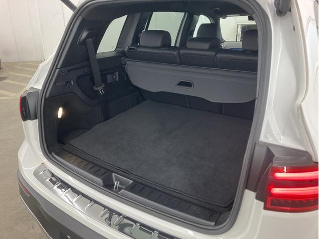 EQB EQB250+ AMGラインパッケージ(43枚目)