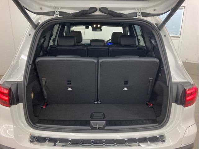 EQB EQB250+ AMGラインパッケージ(44枚目)