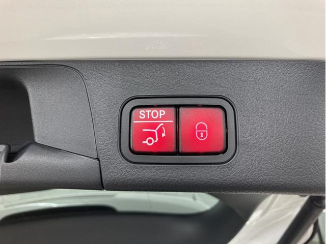 EQB EQB250+ AMGラインパッケージ(47枚目)