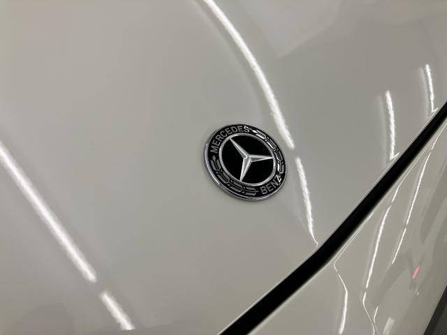 Ｅクラス Ｅ５３　４マチック＋（56枚目）