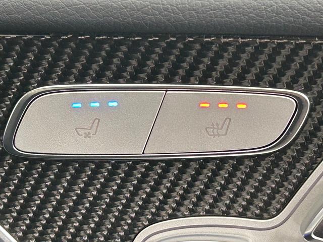 ＣＬＳクラス ＣＬＳ５３　４マチック＋　ＡＭＧスタイリングパッケージ　ガラススライディングルーフ　ＡＭＧカーボンファイバードアミラー　ナッパレザーシート　ＡＭＧインテリア　ドアクロージングサポーター　エナジャイジングパッケージ（29枚目）