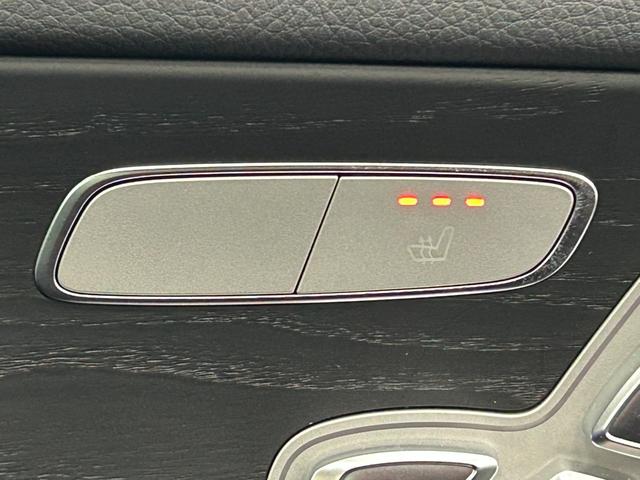 Eクラス E220d スポーツ(21枚目)