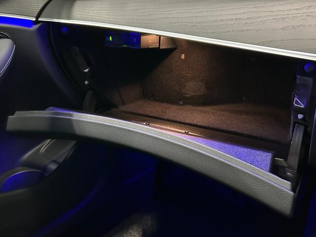 Eクラス E220d スポーツ(32枚目)