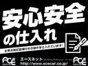 Ｘ　左パワースライドドア地デジテレビナビゲーションＢｌｕｅｔｏｏｔｈオーディオバックカメラＥＴＣ禁煙車(51枚目)