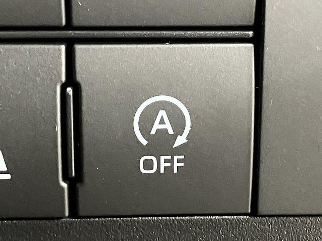 ライズ Ｚ　登録済未使用車　クリアランスソナー　オートクルーズコントロール　レーンアシスト　衝突被害軽減システム　オートライト　ＬＥＤヘッドランプ　アルミホイール　スマートキー　アイドリングストップ（34枚目）