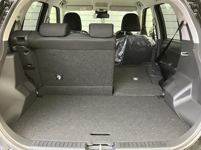 ライズ Ｚ　登録済未使用車　クリアランスソナー　オートクルーズコントロール　レーンアシスト　衝突被害軽減システム　オートライト　ＬＥＤヘッドランプ　アルミホイール　スマートキー　アイドリングストップ（43枚目）