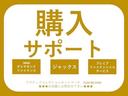Ｘ　届出済未使用車　４ＷＤ車　両席エアバッグ　パワーウインドー　パワーステアリング　禁煙車　マニュアルエアコン　エアＢ　キーレスエントリーシステム　衝突回避ブレーキ　ＶＳＡ（64枚目）
