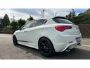スポルティーバ パドルシフト ETC NOVITECマフラー、NOVITEC リアバンパースポイラ-、ローダウン、Dレコーダー、シートヒーター、Pシート ドライブレコーダー タイミングベルト、ウォーターポンプ交換済(20枚目)