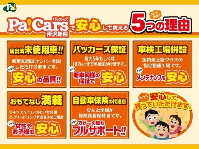 スペシャル　届出済未使用車　エアバッグ　ＡＣ　ＰＳ　横滑り防止機能　禁煙車　ＡＢＳ　オートライト　助手席エアバック　ＰＷ(67枚目)