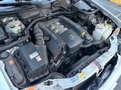 ť饹ơ若 ţơ若󡡥Х󥮥ɡǥ롡롼ե饤˥ĥغѤߡ쥶 0550694A30251121W001 7