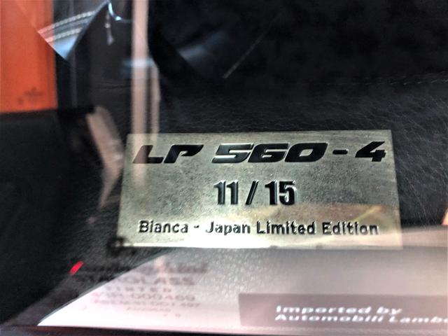 ＬＰ５６０－４　ビアンカ　２００９ｙモデルガヤルドＬＰ５６０－４ビアンカｅギア　ブランディングパッケージ　　フロントリフティング　透明ガラスエンジンフード　ホワイトサイドマーカー　シリアルＮｏ入りプレート(10枚目)