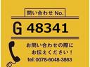 【お問合せ番号：Ｇ－４８３４１】プロライン・自動シート・自動テールゲートロック・砂切り