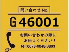 【お問合せ番号：Ｇ−４６００１】ハイルーフ★リターダ・自動シート・ロープフック（サイド８対）・メッキ 2