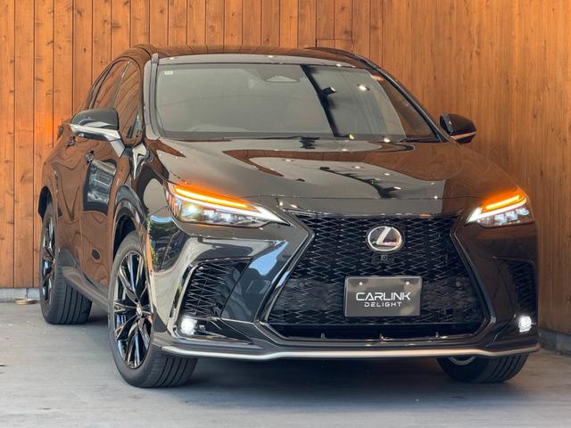 NX NX350h Fスポーツ 革シートセット フルLEDへヘッドランプ パノラマルーフ ルーフレイル OP20AW パノラマビューモニター デルタルインナーミラー シートヒーター ベンチレーション 1オーナー 禁煙 保証継承(32枚目)