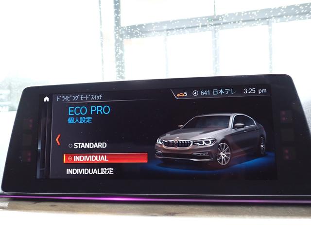 ５シリーズ ５２３ｉ　Ｍスポーツ　ハイラインパッケージ　新品Ｆスポイラー　新品ドアミラーカバー　ブラックグリル　黒革　全席シートヒーター　純正２０ＡＷ（６６９Ｍ）フルセグＴＶ　パーキングアシストプラス／３６０°カメラ　アクティブクルコン　レーンチェンジＷ（55枚目）