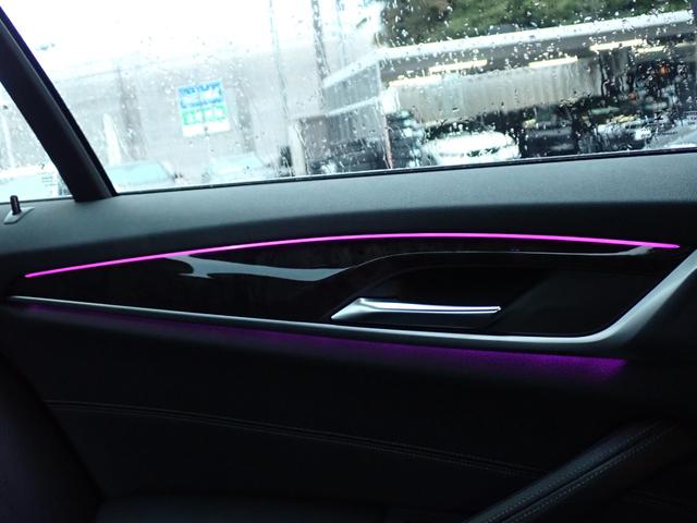 ５シリーズ ５２３ｉ　Ｍスポーツ　ハイラインパッケージ　新品Ｆスポイラー　新品ドアミラーカバー　ブラックグリル　黒革　全席シートヒーター　純正２０ＡＷ（６６９Ｍ）フルセグＴＶ　パーキングアシストプラス／３６０°カメラ　アクティブクルコン　レーンチェンジＷ（60枚目）