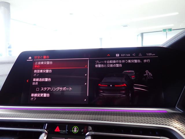 X6 xDrive 35d Mスポーツ プラスPKG 純正OP22インチAW 電動ガラスサンルーフ アイコニックグローキドニーグリル 黒革 全席ヒーター ヘッドアップD AppleCarPlay 360°カメラ 温冷カップホルダー ACC(55枚目)