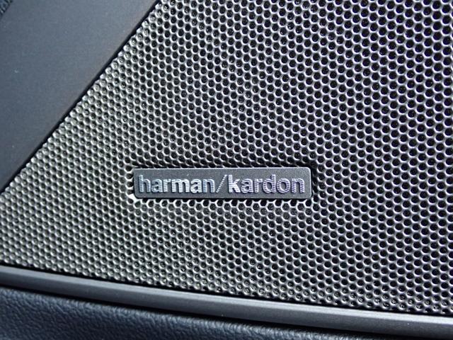 3シリーズ 320d xDriveツーリング ハイライン/サウンド/コンフォ-ト/プラスPKG 黒革 シートヒーター Harman/Kardonサウンド フルセグTV パーキングアシストプラス/360°カメラ レ-ダ-クル-ズ パワーバックドア(39枚目)