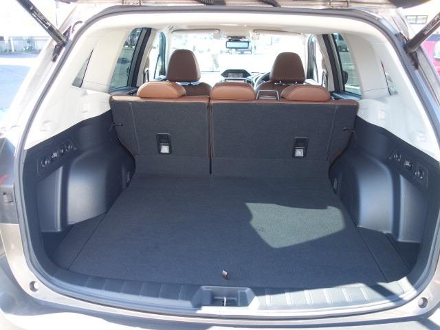 フォレスター アドバンス 禁煙車 本革シート サンルーフ アイサイト 4WD パワーバックドア ルーフレール 純正メモリーナビ フルセグTV CD/DVD再生 Bluetooth接続 USB接続 HDMI端子 バックカメラ(20枚目)