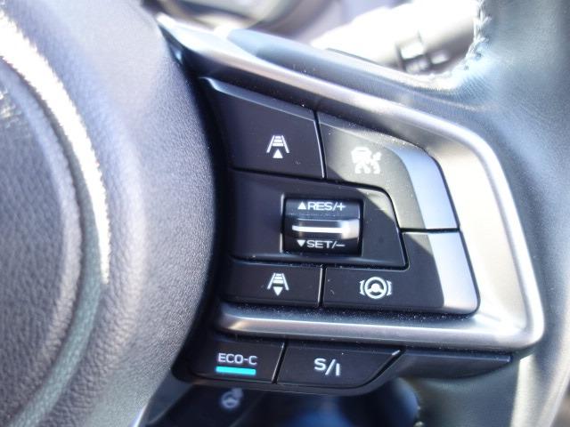 フォレスター アドバンス 禁煙車 本革シート サンルーフ アイサイト 4WD パワーバックドア ルーフレール 純正メモリーナビ フルセグTV CD/DVD再生 Bluetooth接続 USB接続 HDMI端子 バックカメラ(32枚目)