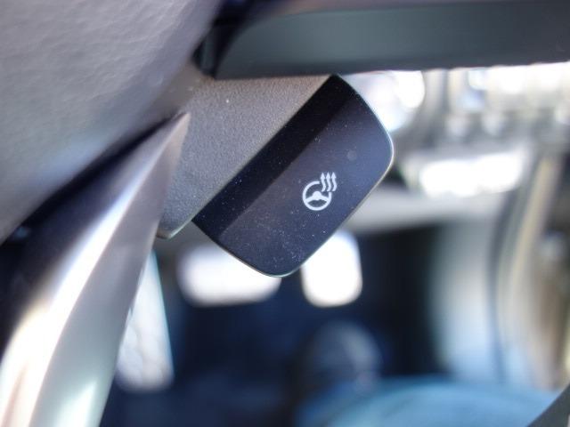 フォレスター アドバンス 禁煙車 本革シート サンルーフ アイサイト 4WD パワーバックドア ルーフレール 純正メモリーナビ フルセグTV CD/DVD再生 Bluetooth接続 USB接続 HDMI端子 バックカメラ(33枚目)