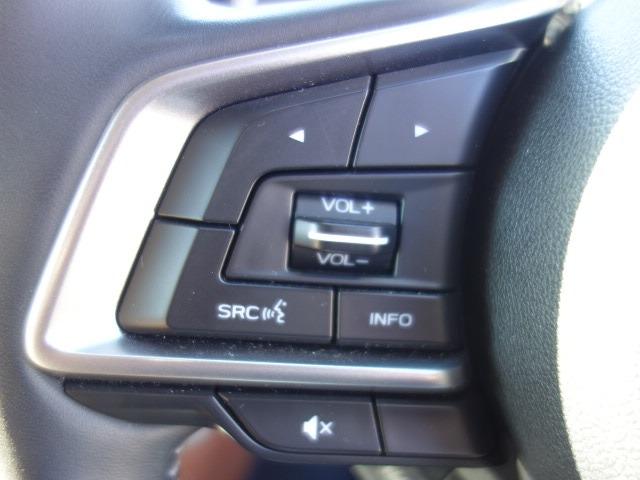 フォレスター アドバンス 禁煙車 本革シート サンルーフ アイサイト 4WD パワーバックドア ルーフレール 純正メモリーナビ フルセグTV CD/DVD再生 Bluetooth接続 USB接続 HDMI端子 バックカメラ(34枚目)