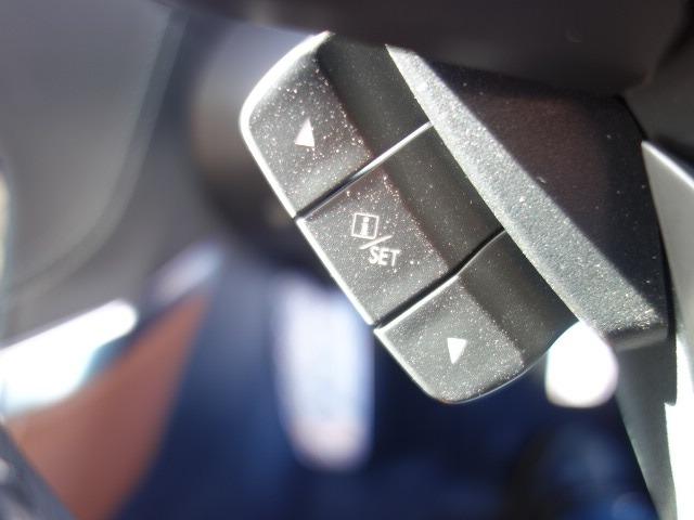 フォレスター アドバンス 禁煙車 本革シート サンルーフ アイサイト 4WD パワーバックドア ルーフレール 純正メモリーナビ フルセグTV CD/DVD再生 Bluetooth接続 USB接続 HDMI端子 バックカメラ(35枚目)