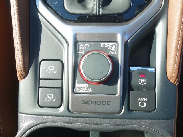 フォレスター アドバンス 禁煙車 本革シート サンルーフ アイサイト 4WD パワーバックドア ルーフレール 純正メモリーナビ フルセグTV CD/DVD再生 Bluetooth接続 USB接続 HDMI端子 バックカメラ(36枚目)